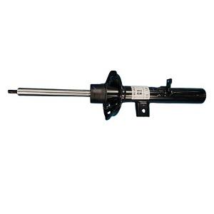 Left front shock absorber of the car